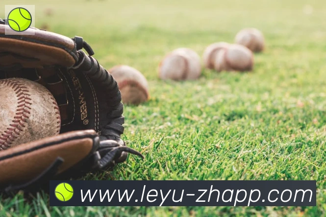 乐鱼leyu品牌故事