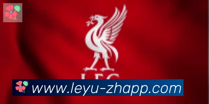 乐鱼leyu合作伙伴