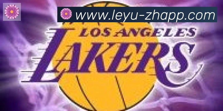 乐鱼leyu合作伙伴