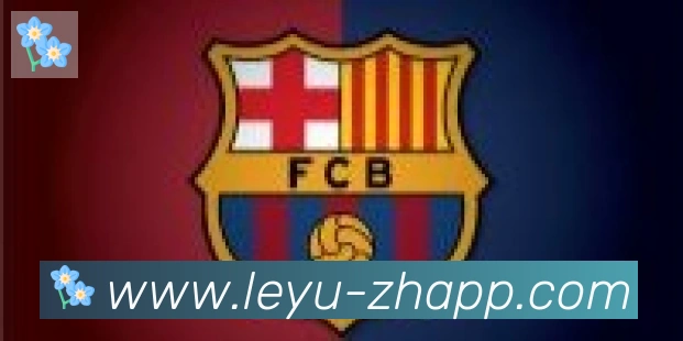 乐鱼leyu合作伙伴